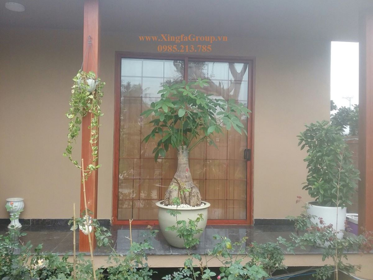 báo giá cửa nhôm xingfa